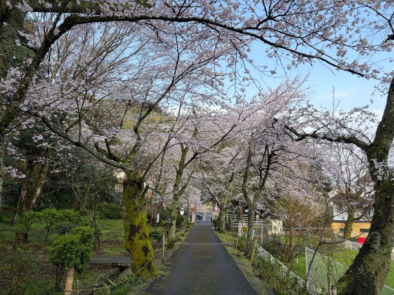 公園内の様子